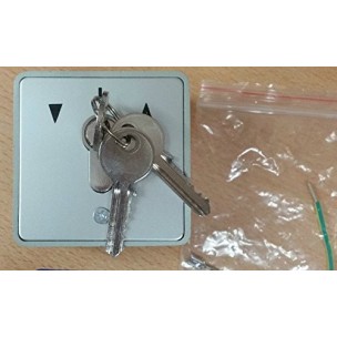 Roller Shutter Industrial Key Switch - IP54